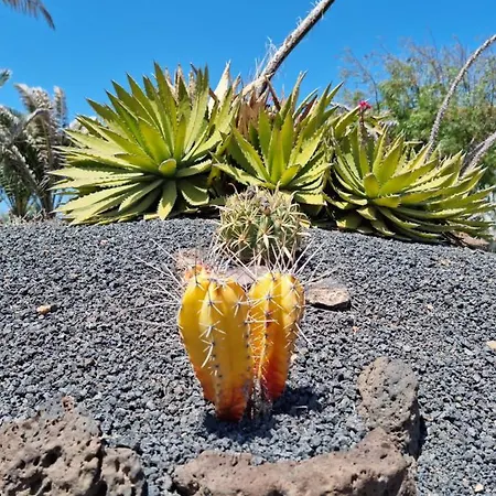 Casa Ina In El Roque, El Cotillo דירה